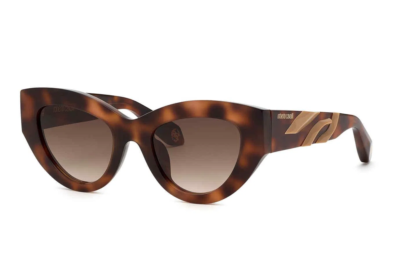 Roberto Cavalli SRC009M Sunglasses - view 2